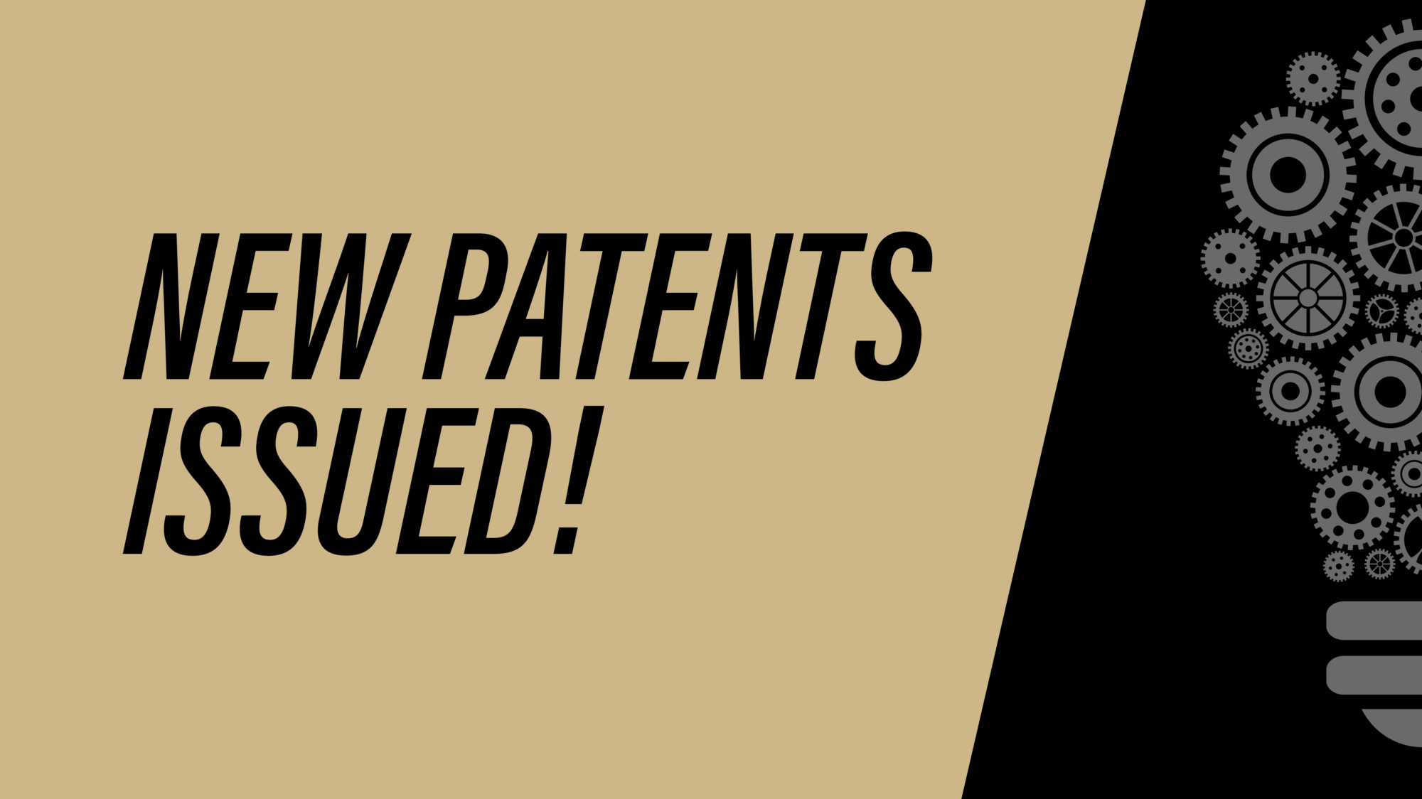 18 U.S. patents recently issued to Purdue University innovations